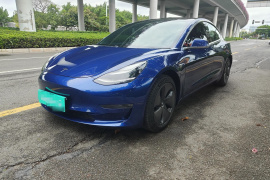 特斯拉 Model 3(进口) 2019款 长续航全轮驱动版