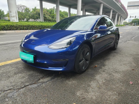 特斯拉 Model 3(进口) 2019款 长续航全轮驱动版