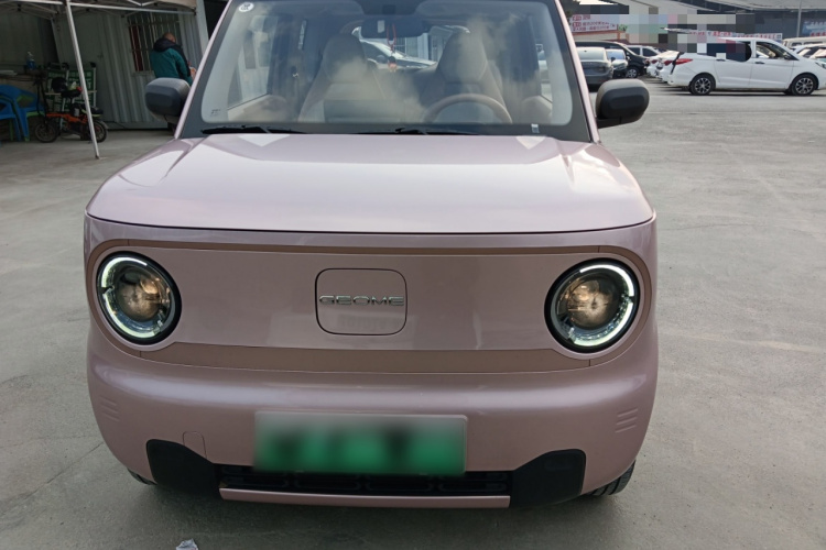 吉利银河 2024款 熊猫mini 200km 龙腾PRO版车身外观2