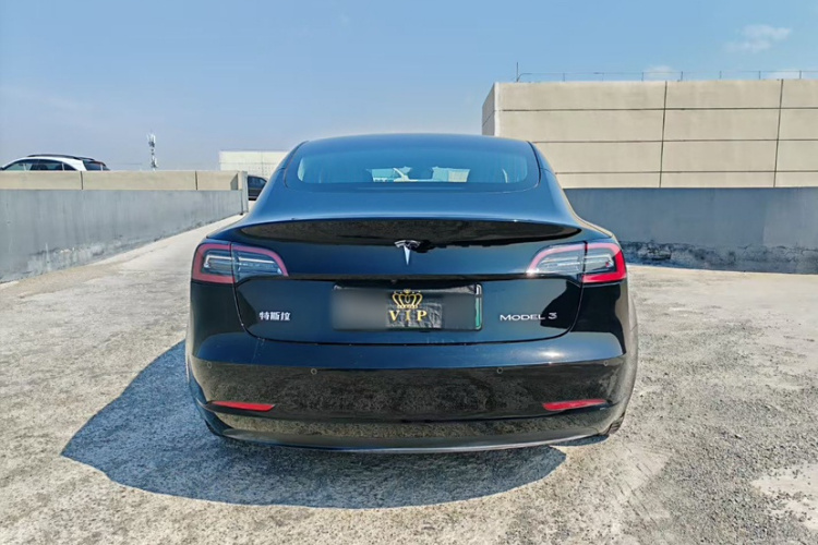 特斯拉 Model 3 2020款 标准续航后驱升级版车身外观6004