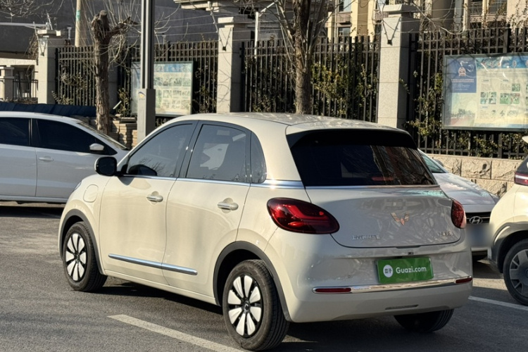 五菱汽车 五菱缤果 2024款 333km 悦享款车身外观6004