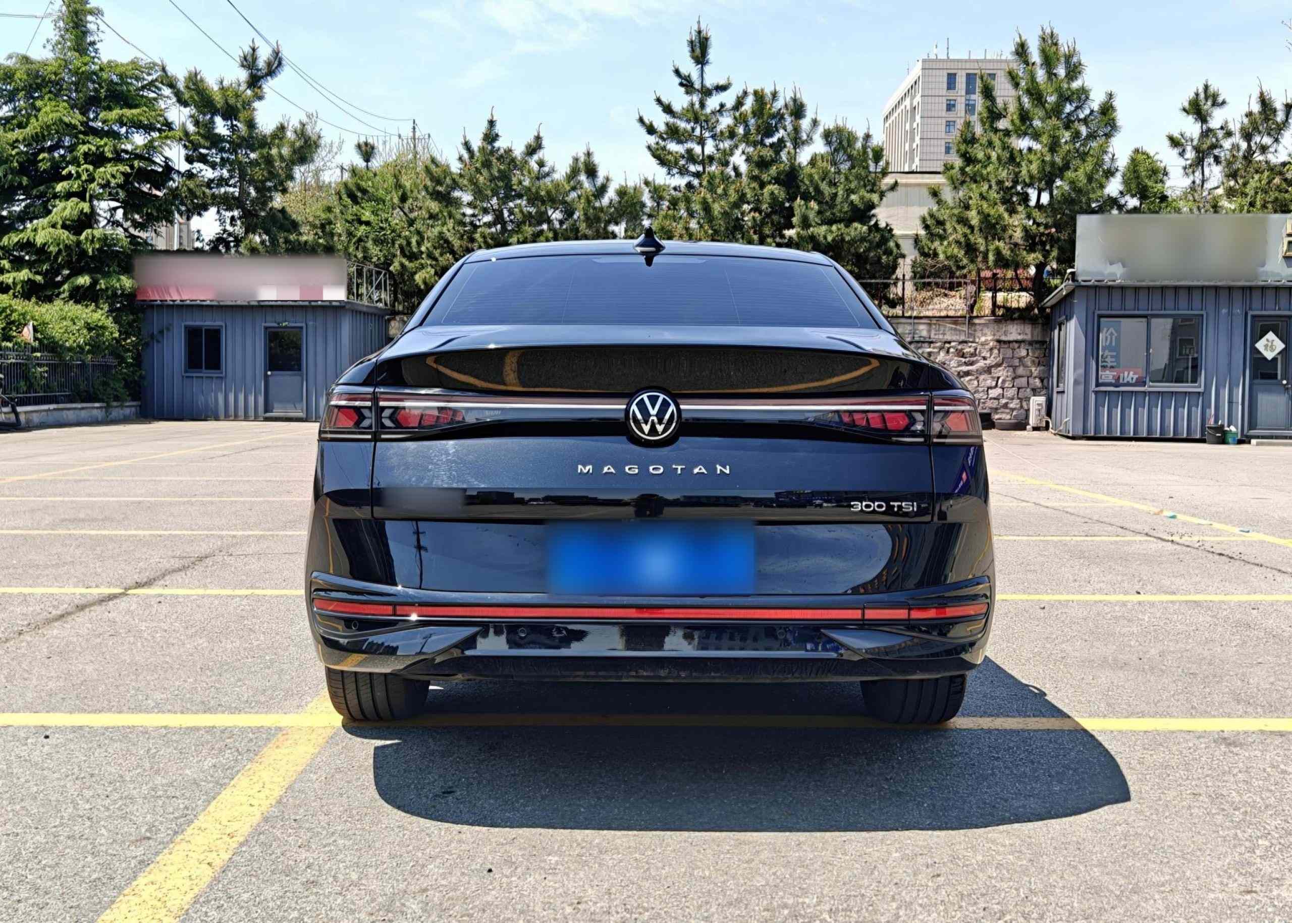 大众 迈腾 2024款  300TSI DSG尊享版显眼包(4)