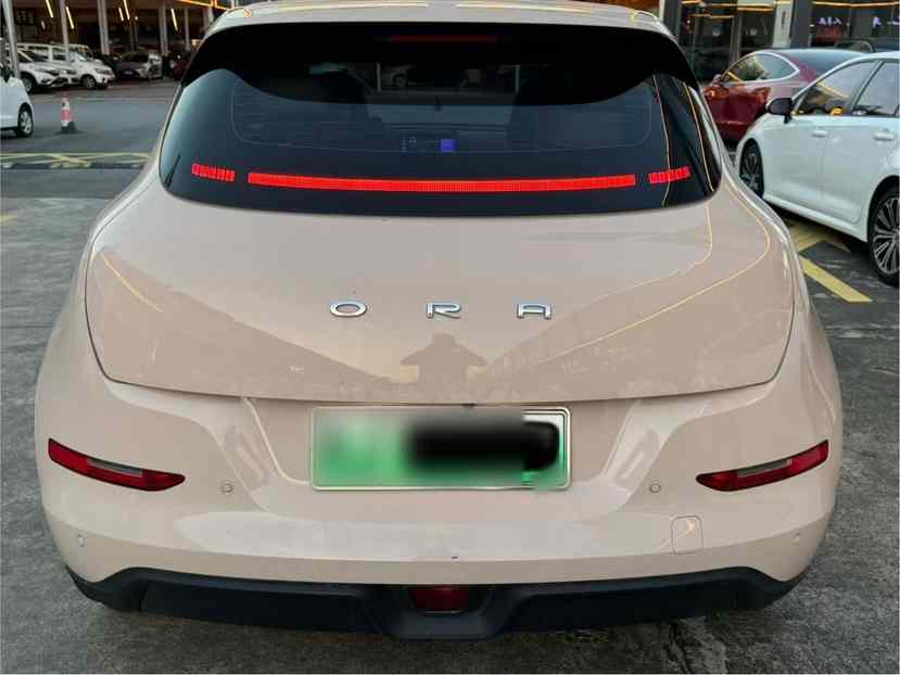 欧拉好猫 2023款 401km标准续航 豪华型 磷酸铁锂(3)