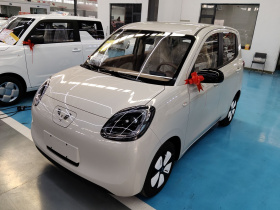 五菱汽车 宏光MINIEV 2025款 四门版 进阶款