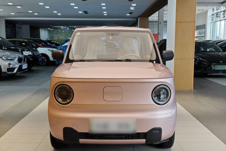 吉利银河 2024款 熊猫mini 200km 耐力熊车身外观6011