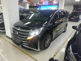 广汽传祺 传祺M8 2021款 领秀系列 390T 旗舰版