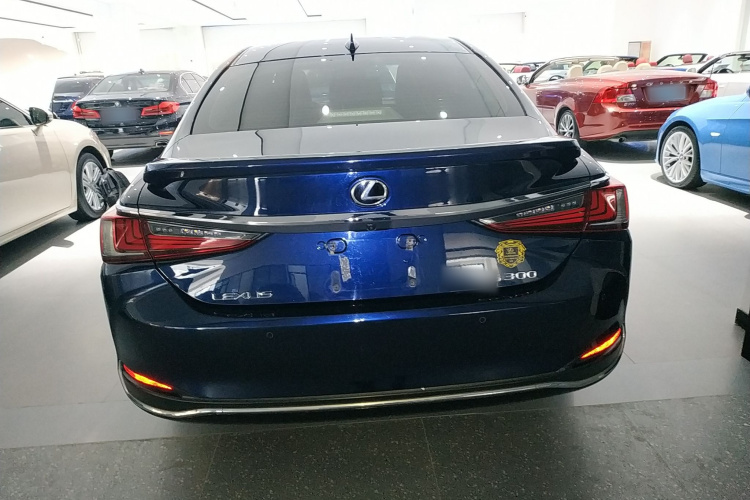 雷克萨斯ES 2020款 200 豪华版车身外观6