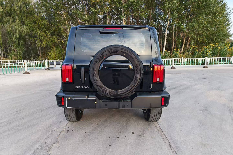 坦克300 2024款 2.0T 挑战者车身外观6004