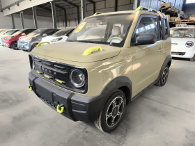 吉利银河 2025款 210km 熊猫骑士