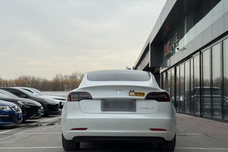特斯拉 Model 3 2021款 标准续航后驱升级版 3D6车身外观6005