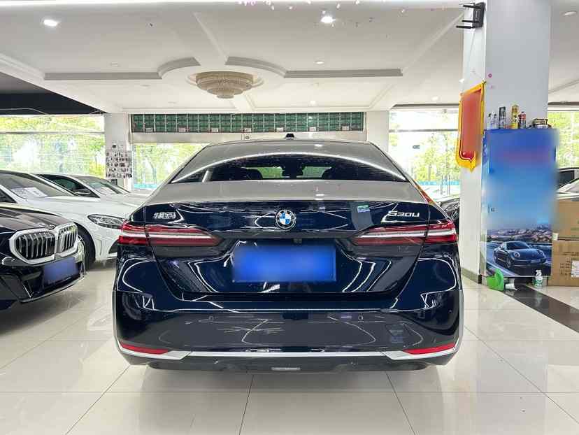 宝马5系 2025款 530Li 领先型 豪华套装(5)