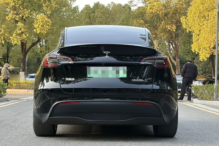 特斯拉 Model Y 2022款 Performance高性能全轮驱动版车身外观6005