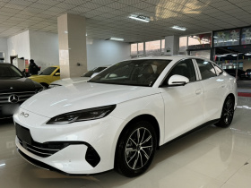 比亚迪 海豹06新能源 2024款 DM-i 120KM尊享型