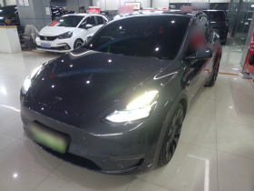 特斯拉 Model Y 2022款 Performance高性能全轮驱动版