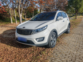 起亚 智跑 2015款 2.0L 自动两驱版DLX