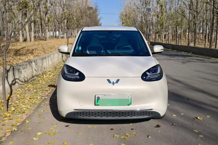 五菱汽车 五菱缤果 2024款 333km 悦享款车身外观6004