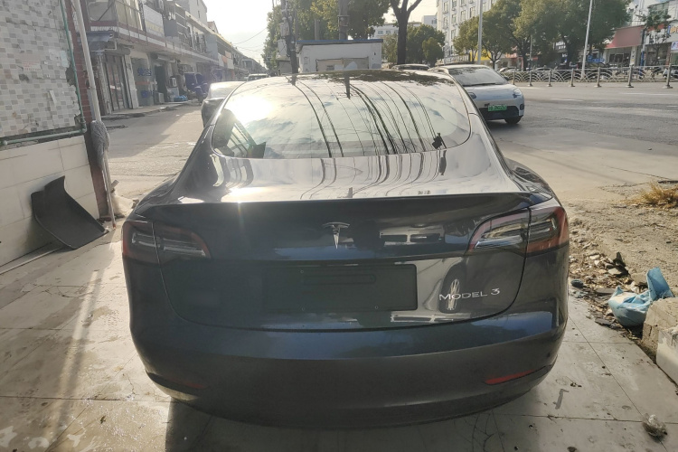 特斯拉 Model 3 2021款 标准续航后驱升级版车身外观6004