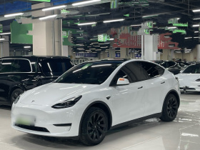 特斯拉 Model Y 2024款 后轮驱动版