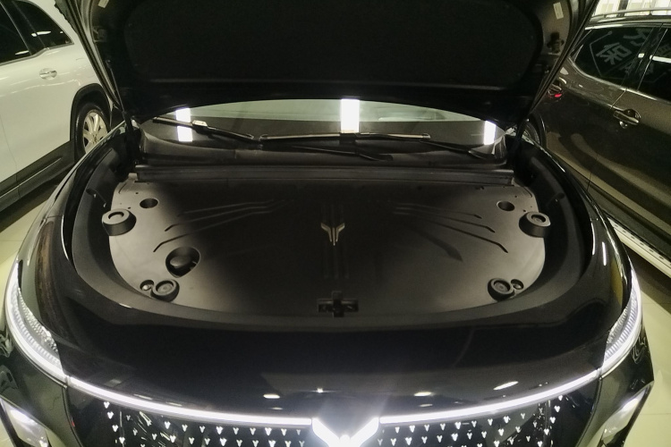 岚图汽车 岚图知音 2024款 四驱全球版局部细节24