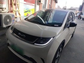 比亚迪 海豚 2023款 420km 时尚版