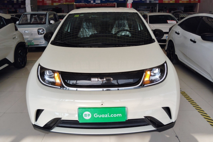 比亚迪 海豚 2025款 420km 自由版车身外观2