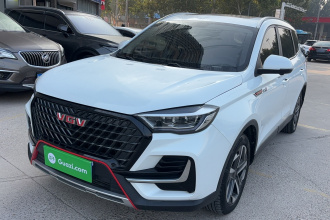 中国重汽VGV VGV U75PLUS 2021款 2.0TGDI 奇趣山地版 7座