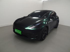 特斯拉 Model Y 2021款 长续航全轮驱动版