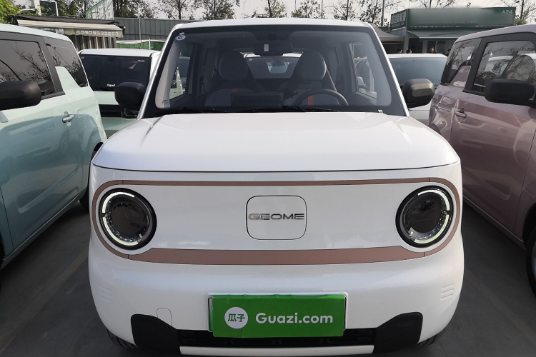 吉利银河 2024款 熊猫mini 200km 耐力熊车身外观2