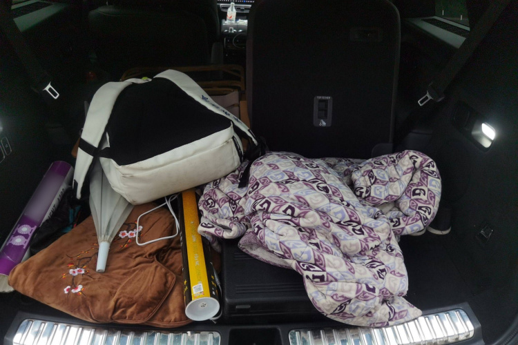 理想汽车 理想L9 2022款 Max局部细节23