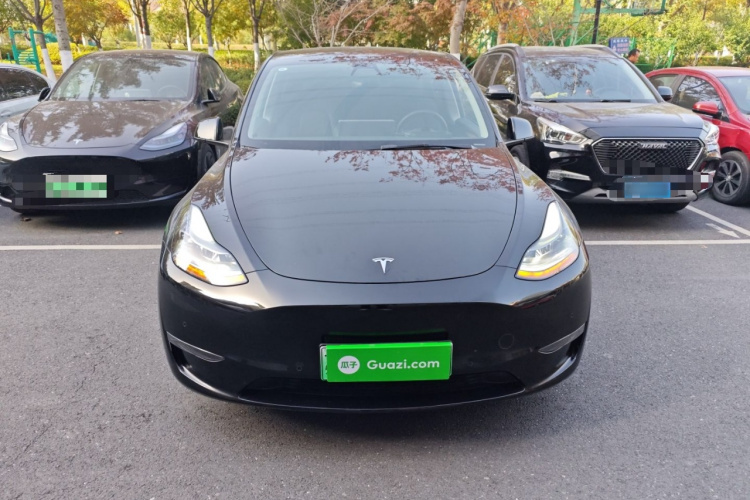 特斯拉 Model Y 2021款 Performance高性能全轮驱动版车身外观2