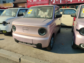 吉利银河 2024款 熊猫mini 200km 耐力熊