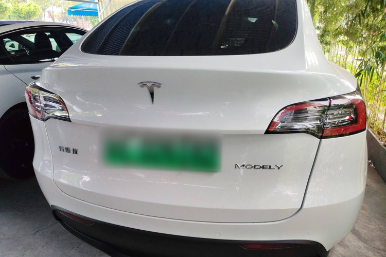 特斯拉 Model Y 2021款 长续航全轮驱动版车身外观6005