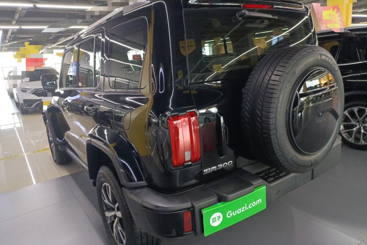 坦克300 2024款 2.0T 穿越者车身外观4