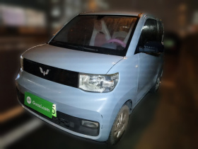 五菱汽车 宏光MINIEV 2020款 自在款 磷酸铁锂