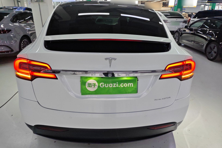 特斯拉 Model X 2020款 长续航升级版车身外观6