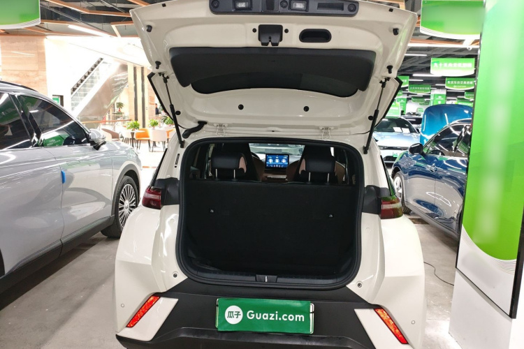 比亚迪 海鸥 2023款 自由版机舱底盘23