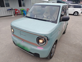 吉利银河 2023款 熊猫mini 200km 灵动熊
