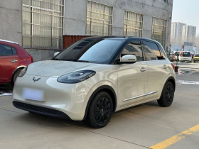 五菱汽车 五菱缤果 2023款 203km 舒享款