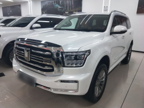 坦克500新能源 2024款 Hi4-T