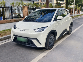 比亚迪 海鸥 2024款 荣耀版 305km 活力版