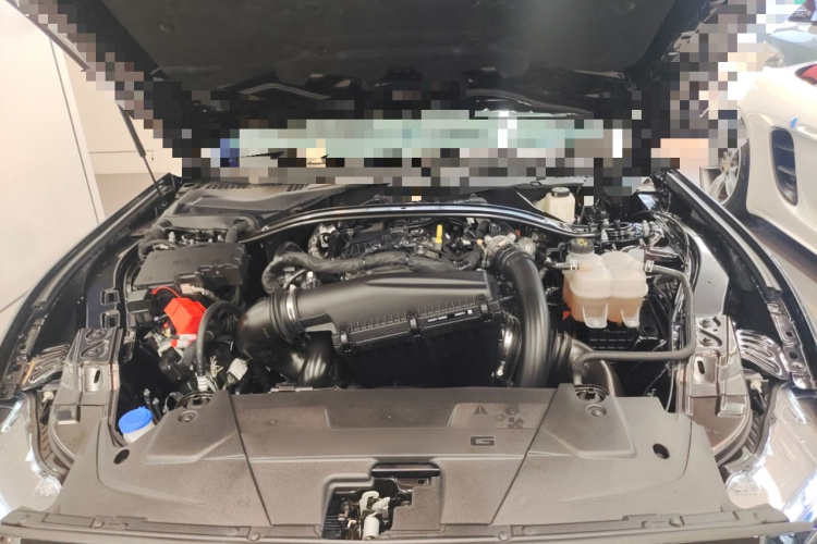 福特 Mustang 2024款 2.3T EcoBoost 硬顶性能版机舱底盘24