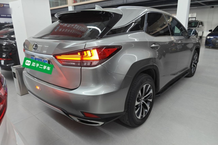 雷克萨斯RX 2020款 改款 300 两驱精英版车身外观7
