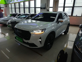 哈弗H6 2021款 第三代 2.0T 自动两驱Max