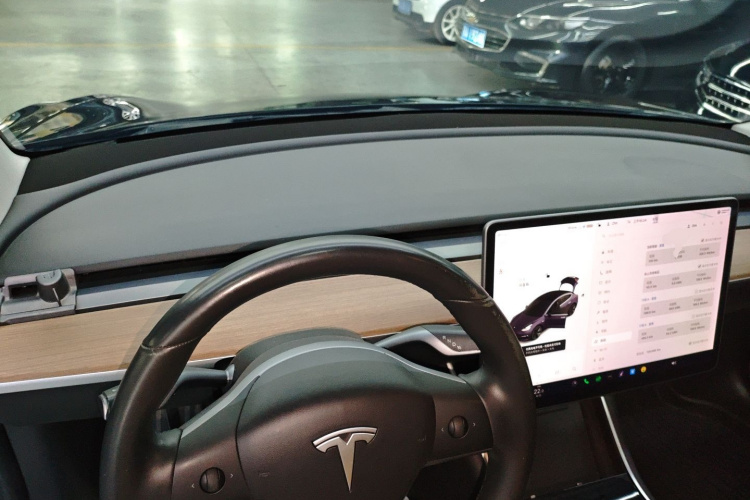 特斯拉 Model 3(进口) 2019款 长续航后驱版中控内饰12