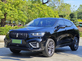 魏牌 VV5 2021款 1.5T 两驱智先锋