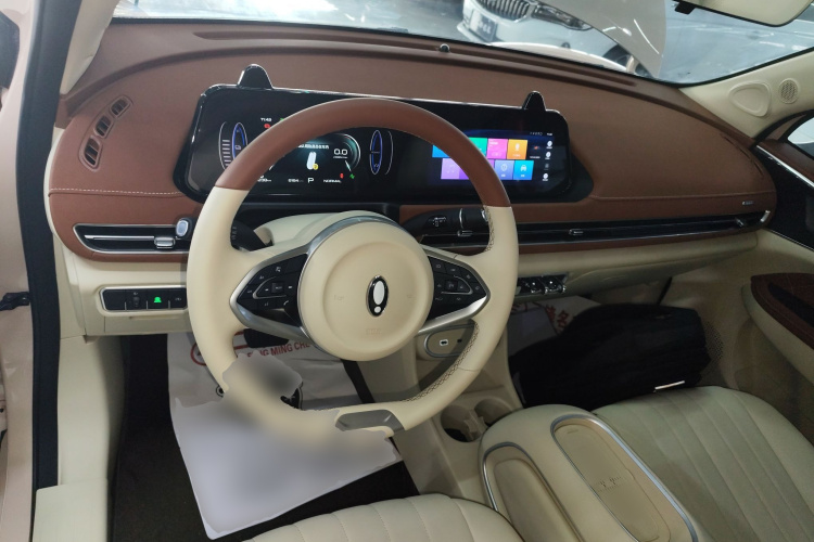 欧拉好猫 2024款 401km 豪华型中控内饰12