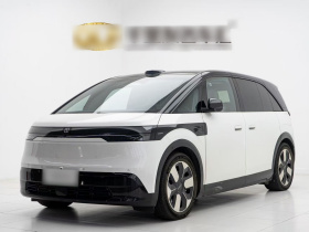 极氪MIX 2025款 长续航智驾版