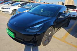 特斯拉 Model 3 2021款 标准续航后驱升级版