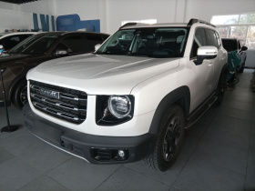 哈弗大狗 2022款 2.0T DCT四驱哮天犬版