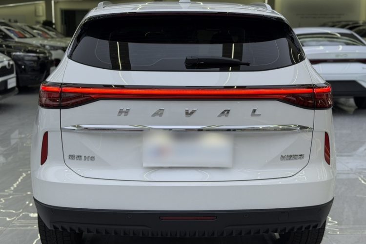 哈弗H6 2024款 1.5T 两驱经典版车身外观6005